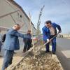  کاشت نهال توسط شهردار ،شورای شهر و مسئولین شهرداری دابودشت  در آستانه روز درختکاری  