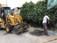 اقدامات خدمات شهری و فضای سبز شهرداری دابودشت در یک نگاه 