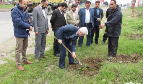آیین درختکاری در شهر دابودشت با حضور شهردارو اعضا شورای اسلامی شهر